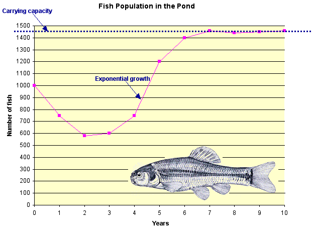 Population graph