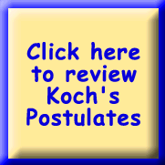 Click to review Koch's Postulates