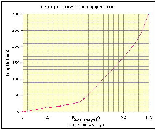 Mini Pig Growth Chart