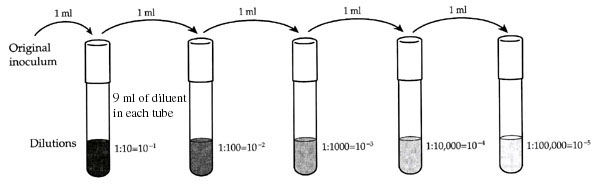 christine-case-biology-230