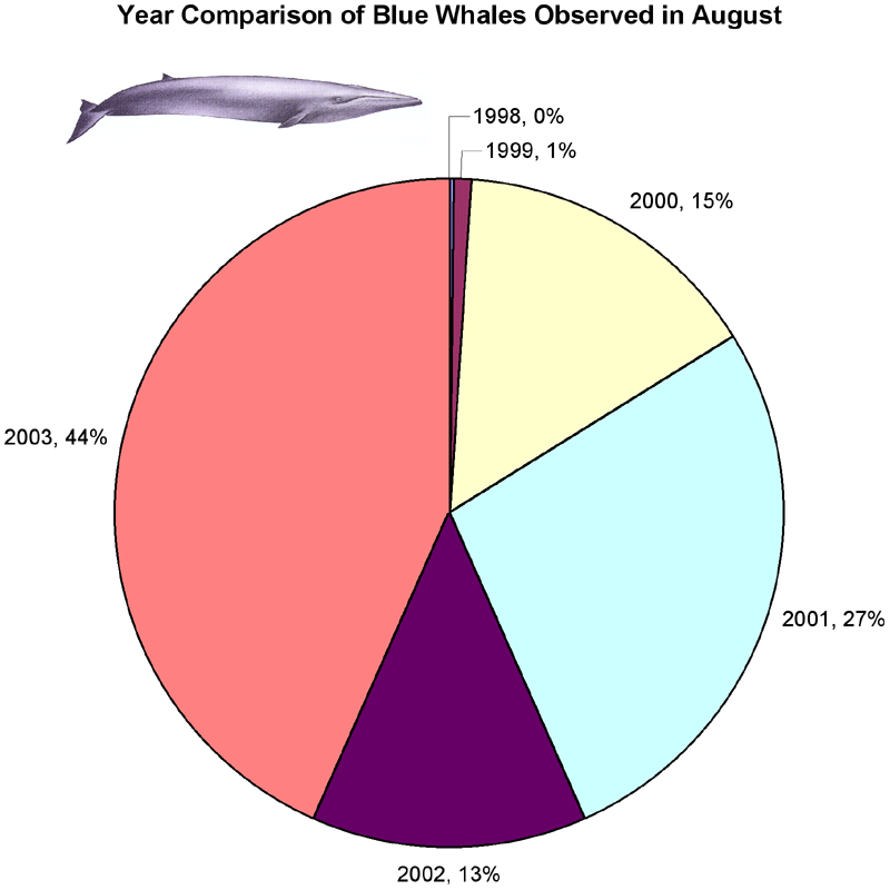Blue Whales in August