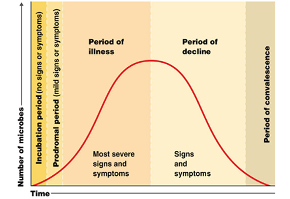 Image result for the period of a disease